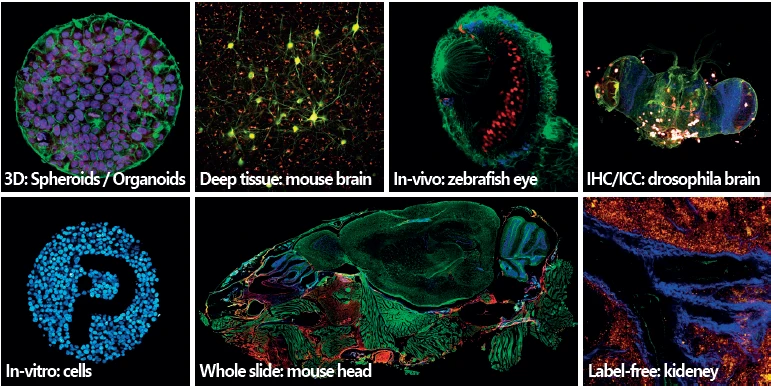 MPC-Series Multiphoton Microscope: Customizable, Multimodal Imaging Platform photo 3